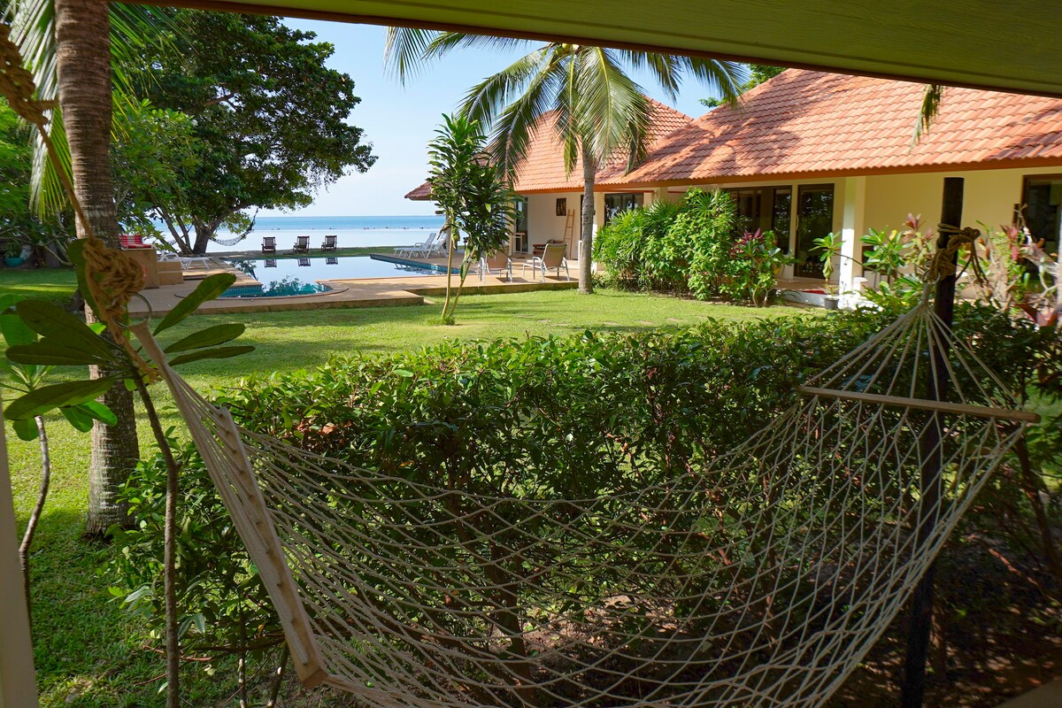 view from the hammock on the terrasse